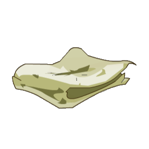 Fichier:WLG2 Item Tissu Rapiécé.png