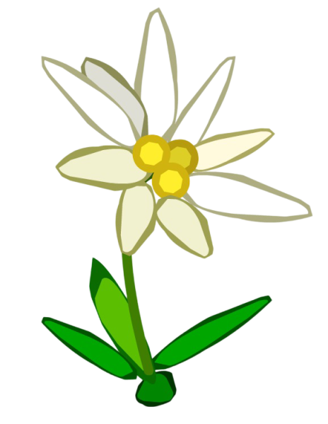 Fichier:AtelierChapeau Edelweiss.png